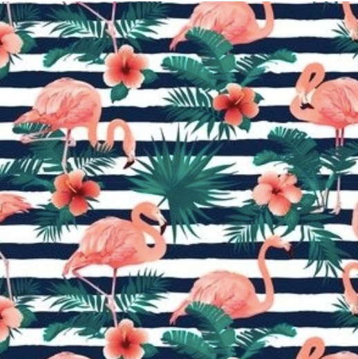 Striped Flamingo