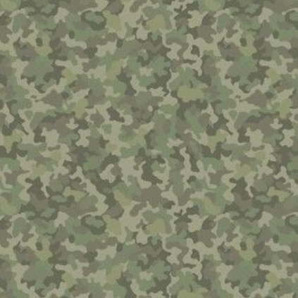 Sage Camo