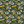 Packers NFL