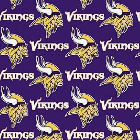Vikings NFL