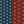 Army Nurse Corps