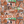 UT Longhorns