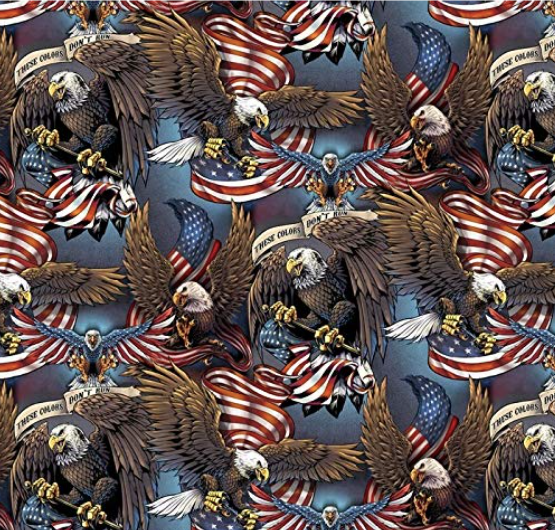 Patriotic Eagles