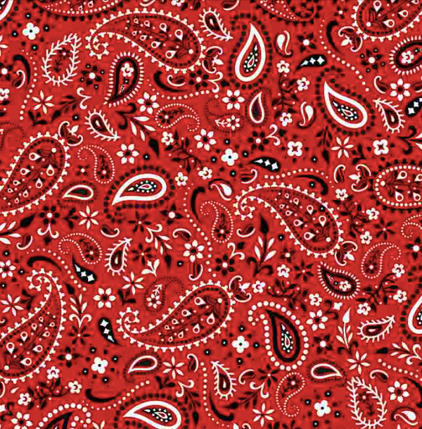 Red Paisley Bandana