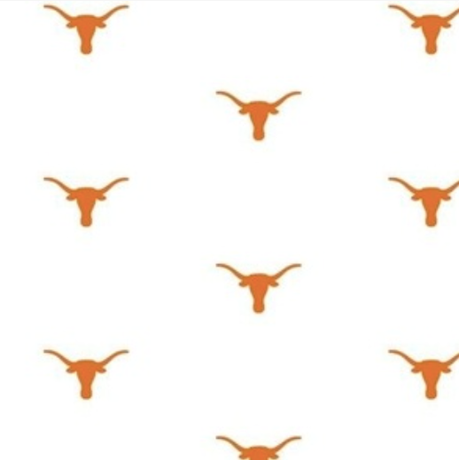 Texas Horns